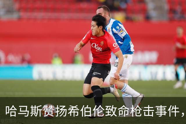 哈马斯赞扬希伯伦致命枪击事件，以军总参谋长誓言追捕所有参与者