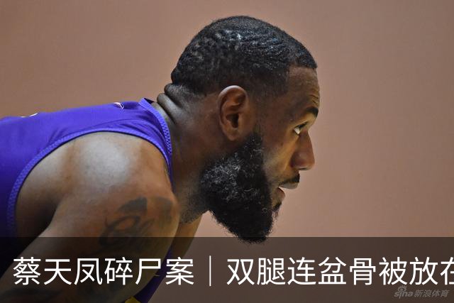 蔡天凤碎尸案｜双腿连盆骨被放在冰箱内，政府化验师形容“骨上面有点肉”