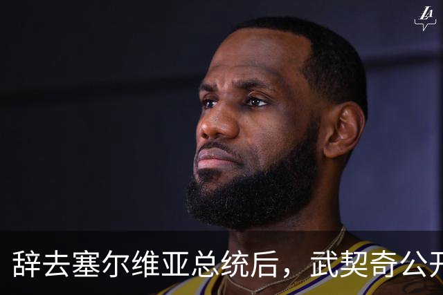 辞去塞尔维亚总统后，武契奇公开作出承诺：不会对俄罗斯实施制裁