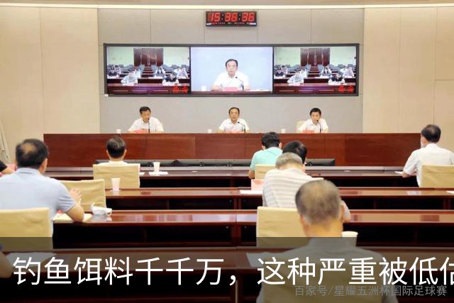 钓鱼饵料千千万，这种严重被低估，随手可得、效果通杀
